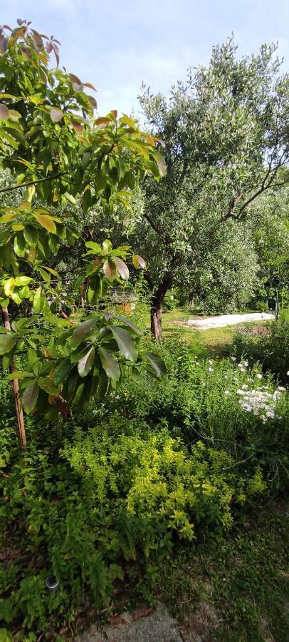 Apartma Marinka Piran Exteriér fotografie
