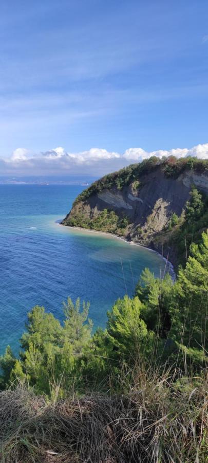 Apartma Marinka Piran Exteriér fotografie