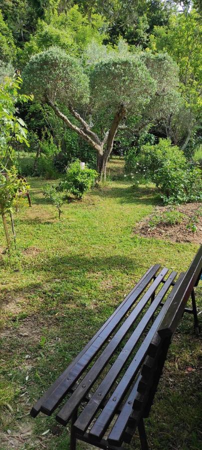 Apartma Marinka Piran Exteriér fotografie