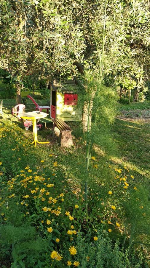 Apartma Marinka Piran Exteriér fotografie