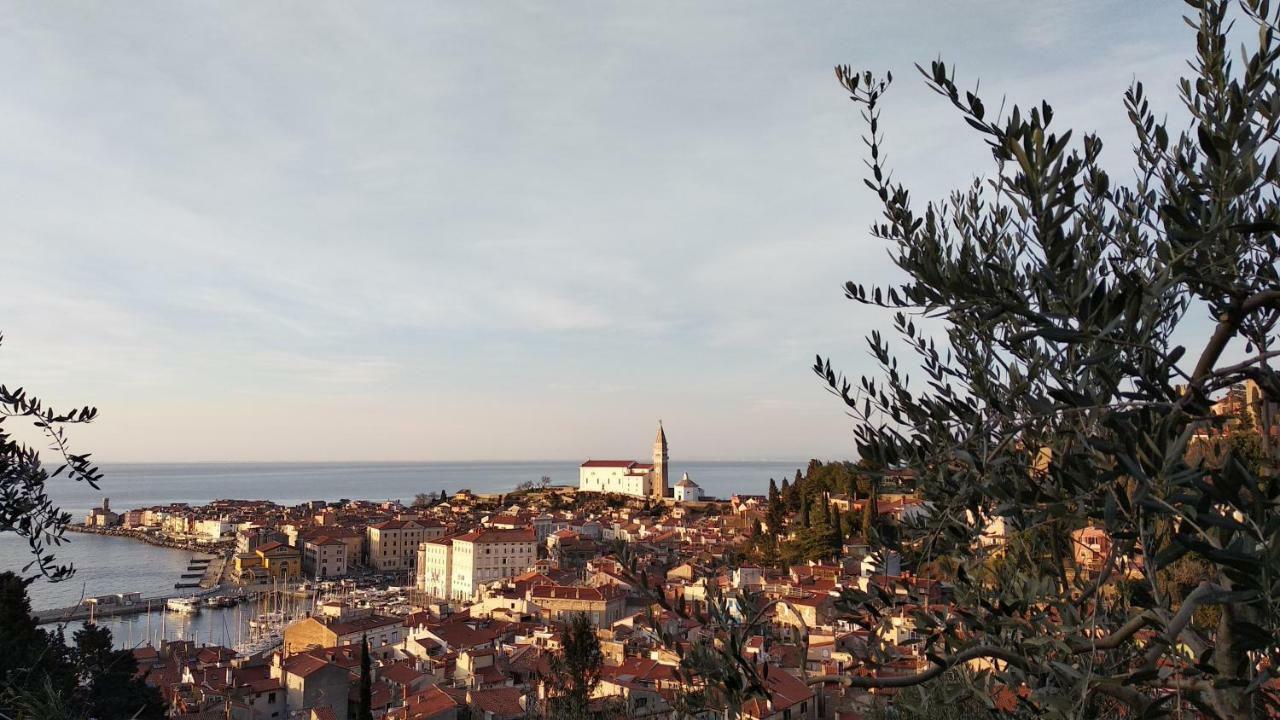 Apartma Marinka Piran Exteriér fotografie